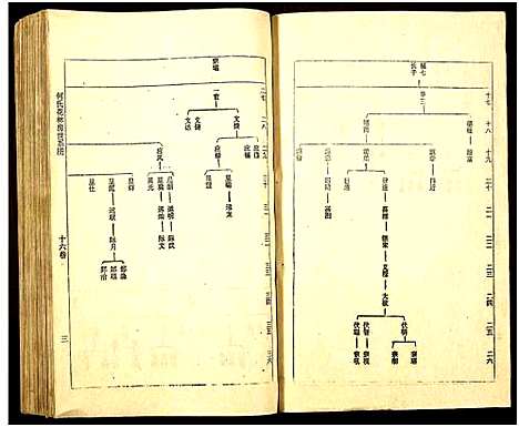 [何]何氏族谱_16卷 (湖南) 何氏家谱_十六.pdf