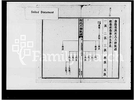 [何]益阳板溪何氏六修族谱_残卷-何氏六修族谱 (湖南) 益阳板溪何氏六修家谱.pdf