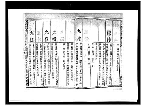 [何]蛇觜子何氏五修支谱_16卷 (湖南) 蛇觜子何氏五修支谱_十三.pdf