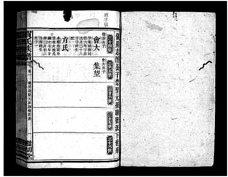 [贺]贺氏族谱_诚房25卷_信房9卷_祚房4卷首6卷-贺氏族谱 (湖南) 贺氏家谱_八.pdf