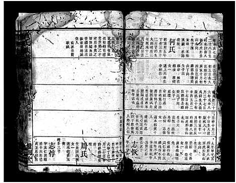 [贺]贺氏族谱_诚房25卷_信房9卷_祚房4卷首6卷-贺氏族谱 (湖南) 贺氏家谱_十五.pdf