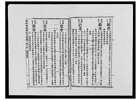 [胡]宁乡东城胡氏七修谱_23卷 (湖南) 宁乡东城胡氏七修谱_九.pdf