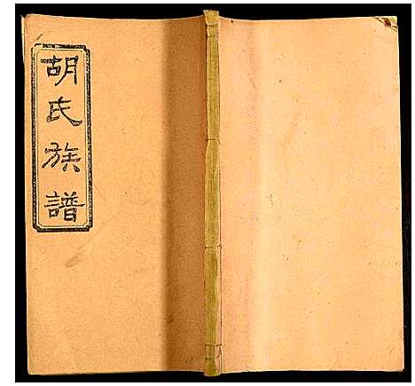 [胡]沅江胡氏族谱 (湖南) 沅江胡氏家谱_十八.pdf