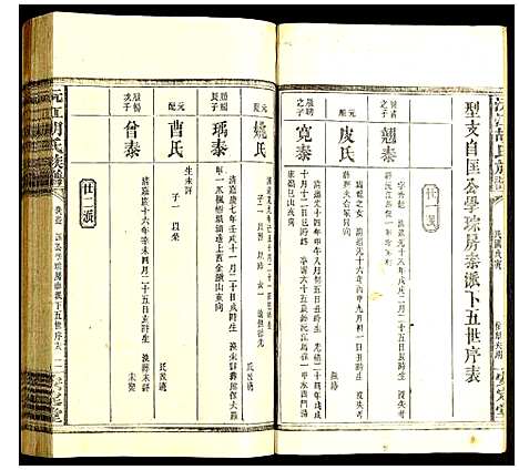 [胡]沅江胡氏族谱 (湖南) 沅江胡氏家谱_二十四.pdf