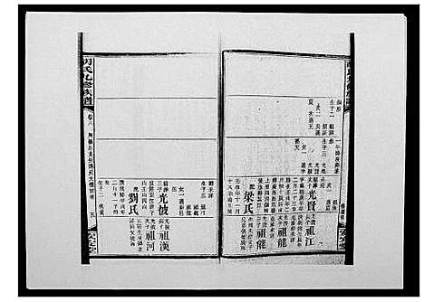 [胡]胡氏九修族谱 (湖南) 胡氏九修家谱_十二.pdf