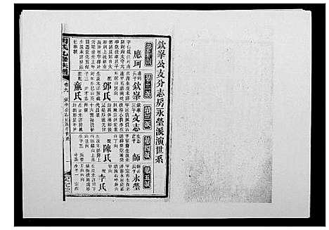 [胡]胡氏九修族谱 (湖南) 胡氏九修家谱_十三.pdf