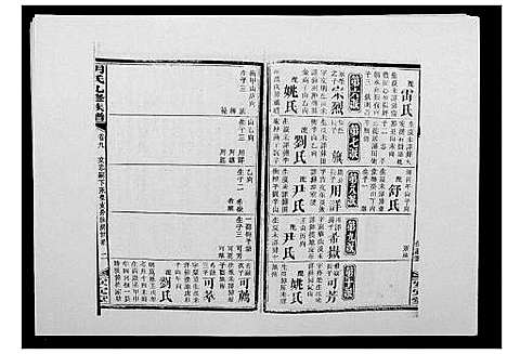 [胡]胡氏九修族谱 (湖南) 胡氏九修家谱_十三.pdf