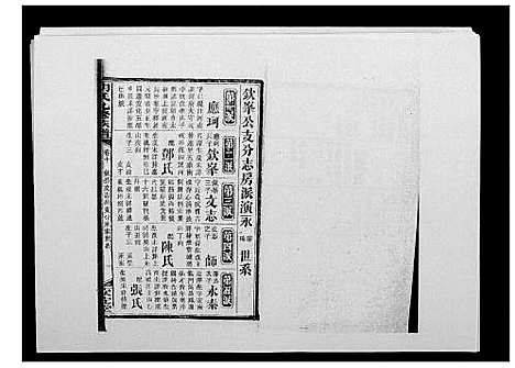 [胡]胡氏九修族谱 (湖南) 胡氏九修家谱_十四.pdf