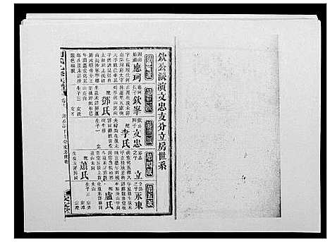 [胡]胡氏九修族谱 (湖南) 胡氏九修家谱_十五.pdf