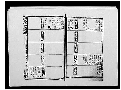 [胡]胡氏九修族谱 (湖南) 胡氏九修家谱_十五.pdf