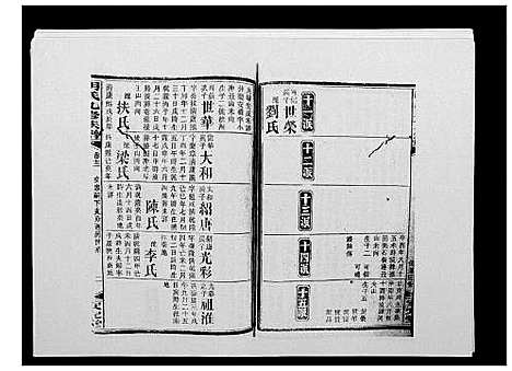 [胡]胡氏九修族谱 (湖南) 胡氏九修家谱_十六.pdf