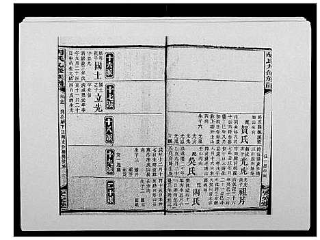 [胡]胡氏九修族谱 (湖南) 胡氏九修家谱_十九.pdf