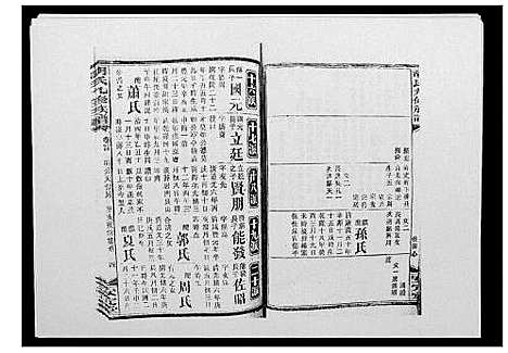 [胡]胡氏九修族谱 (湖南) 胡氏九修家谱_二十八.pdf