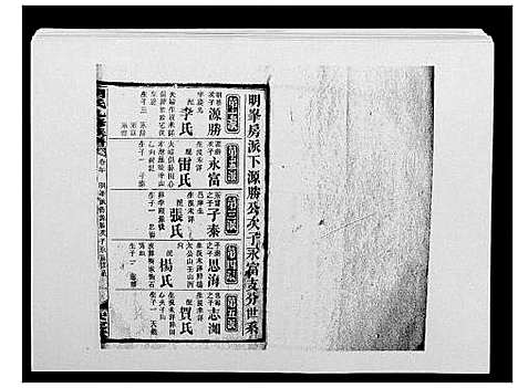 [胡]胡氏九修族谱 (湖南) 胡氏九修家谱_三十四.pdf