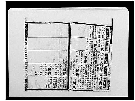 [胡]胡氏九修族谱 (湖南) 胡氏九修家谱_三十四.pdf