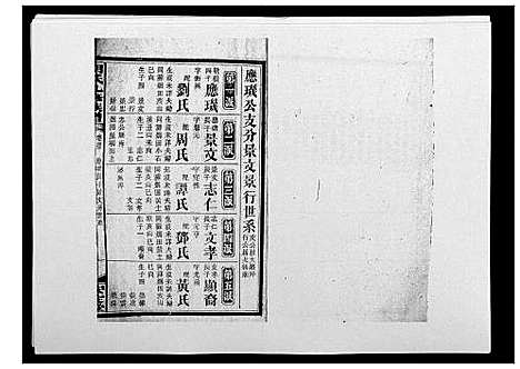 [胡]胡氏九修族谱 (湖南) 胡氏九修家谱_三十七.pdf