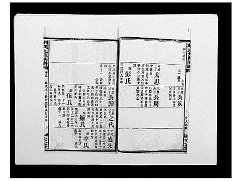 [胡]胡氏九修族谱 (湖南) 胡氏九修家谱_三十八.pdf