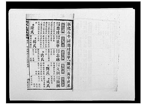 [胡]胡氏九修族谱 (湖南) 胡氏九修家谱_四十.pdf