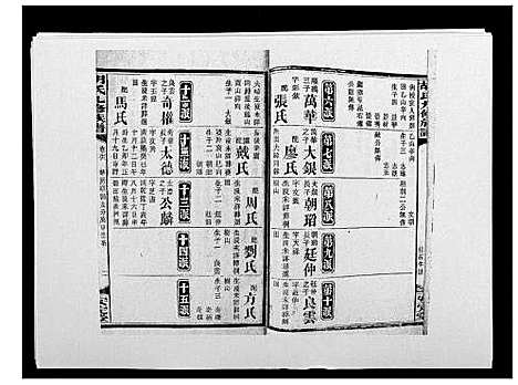 [胡]胡氏九修族谱 (湖南) 胡氏九修家谱_四十.pdf