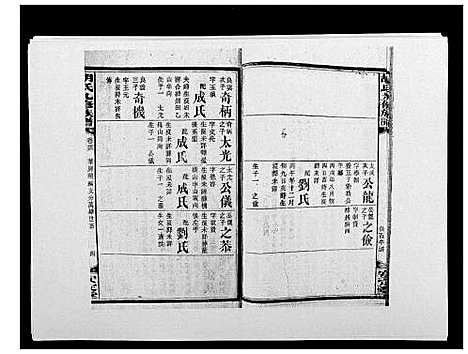 [胡]胡氏九修族谱 (湖南) 胡氏九修家谱_四十.pdf