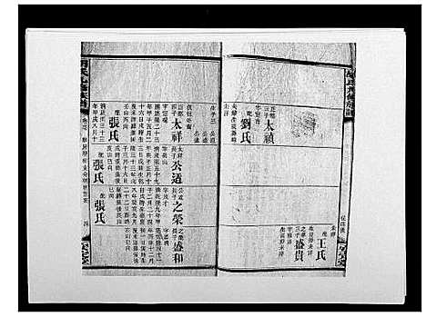 [胡]胡氏九修族谱 (湖南) 胡氏九修家谱_四十一.pdf