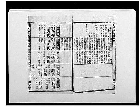 [胡]胡氏九修族谱 (湖南) 胡氏九修家谱_四十三.pdf