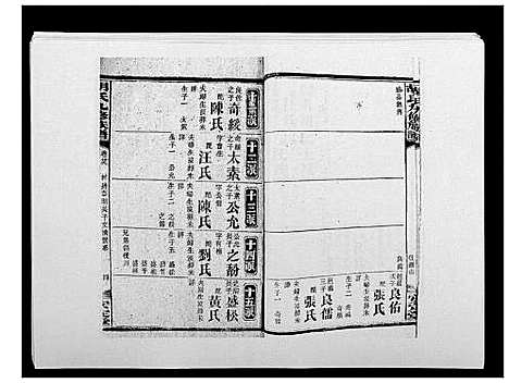 [胡]胡氏九修族谱 (湖南) 胡氏九修家谱_四十三.pdf