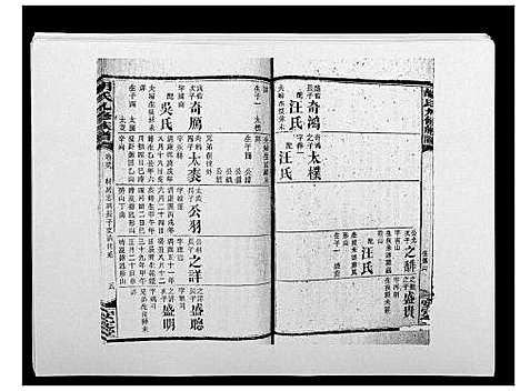 [胡]胡氏九修族谱 (湖南) 胡氏九修家谱_四十三.pdf