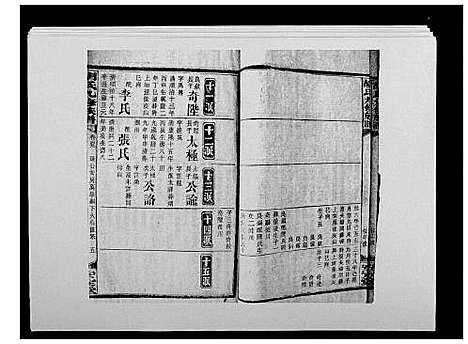 [胡]胡氏九修族谱 (湖南) 胡氏九修家谱_五十三.pdf