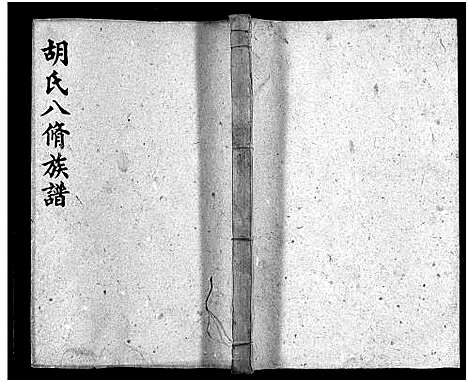 [胡]胡氏八修族谱_12卷首1卷-Hu Shi Ba Xiu (湖南) 胡氏八修家谱_十四.pdf