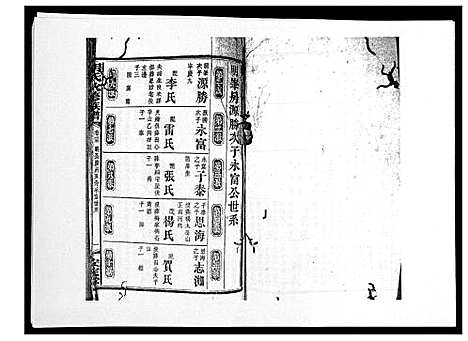 [胡]胡氏八修族谱_50卷 (湖南) 胡氏八修家谱_二十八.pdf