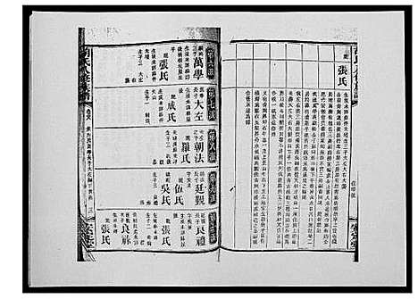 [胡]胡氏八修族谱_50卷 (湖南) 胡氏八修家谱_四十.pdf