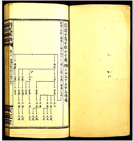 [胡]胡氏族谱 (湖南) 胡氏家谱_十四.pdf