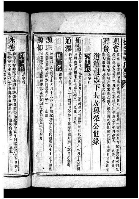 [胡]胡氏族谱_不分卷 (湖南) 胡氏家谱_四.pdf