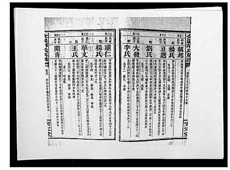 [胡]金严胡氏族谱 (湖南) 金严胡氏家谱_四十一.pdf