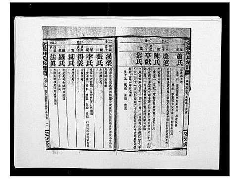 [胡]金严胡氏族谱 (湖南) 金严胡氏家谱_四十九.pdf