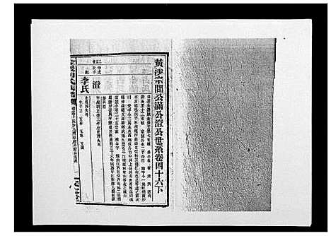 [胡]金严胡氏族谱 (湖南) 金严胡氏家谱_五十.pdf