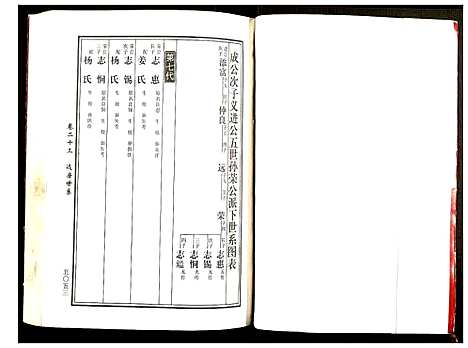 [黄]邵东马园黄氏五修族谱 (湖南) 邵东马园黄氏五修家谱_十二.pdf