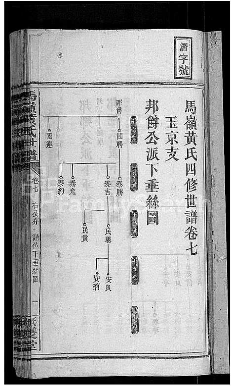 [黄]马岭黄氏四修世谱_14卷首末各1卷-马岭黄氏世谱 (湖南) 马岭黄氏四修世谱_八.pdf