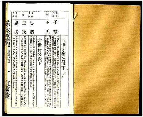 [黄]黄氏宗谱_世系8卷_序及齿录36卷_附谱1卷_文莹公支4卷-黄氏宗谱 (湖南) 黄氏家谱_四十五.pdf