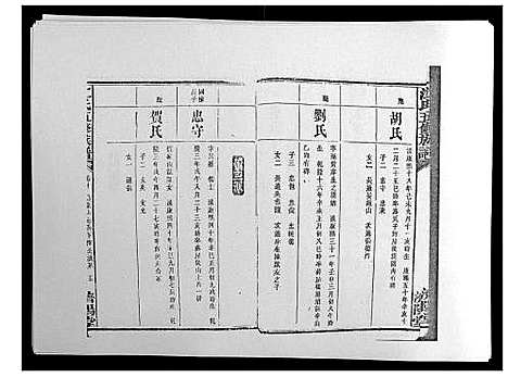 [江]江氏五修族谱_16卷 (湖南) 江氏五修家谱_九.pdf