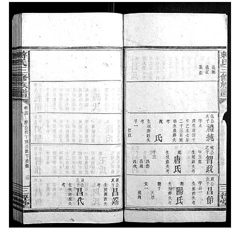 [蒋]蒋氏三修族谱 (湖南) 蒋氏三修家谱_五.pdf