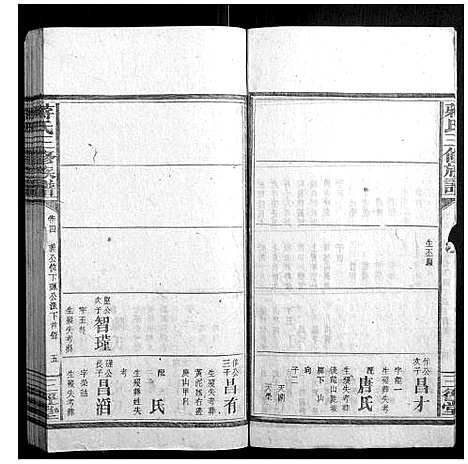 [蒋]蒋氏三修族谱 (湖南) 蒋氏三修家谱_五.pdf