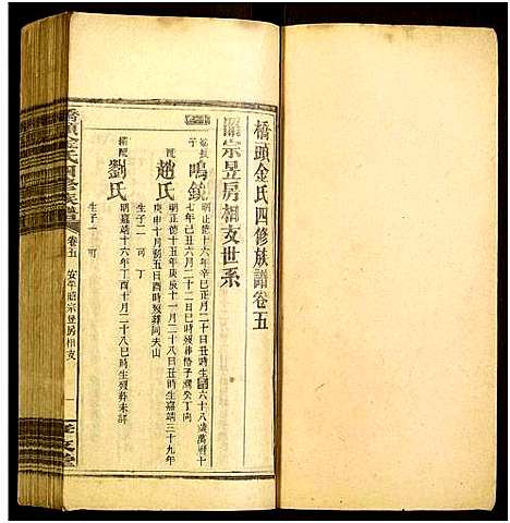 [金]桥头金氏四修族谱 (湖南) 桥头金氏四修家谱_十二.pdf