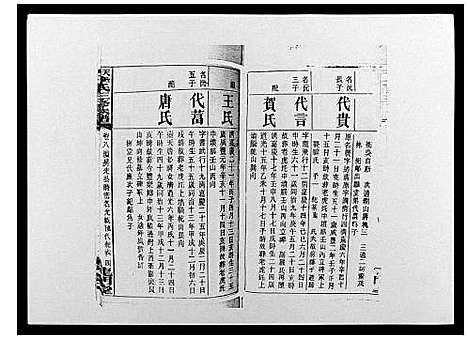 [李]天堂李氏三修族谱_47卷首3卷 (湖南) 天堂李氏三修家谱_十一.pdf