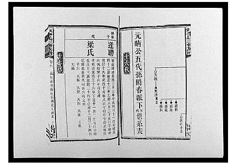 [李]天堂李氏三修族谱_47卷首3卷 (湖南) 天堂李氏三修家谱_二十九.pdf