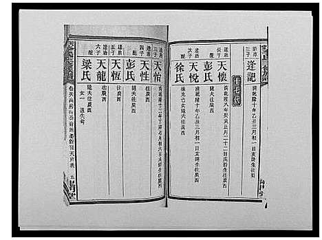 [李]天堂李氏三修族谱_47卷首3卷 (湖南) 天堂李氏三修家谱_三十九.pdf