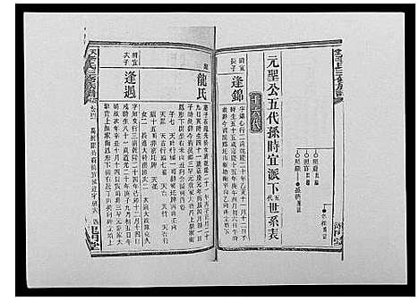 [李]天堂李氏三修族谱_47卷首3卷 (湖南) 天堂李氏三修家谱_四十六.pdf