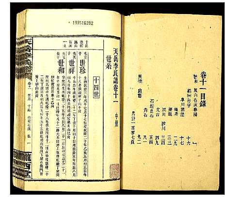 [李]天岳李氏谱 (湖南) 天岳李氏谱_九.pdf