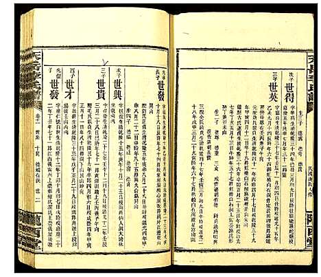 [李]天岳李氏谱 (湖南) 天岳李氏谱_九.pdf